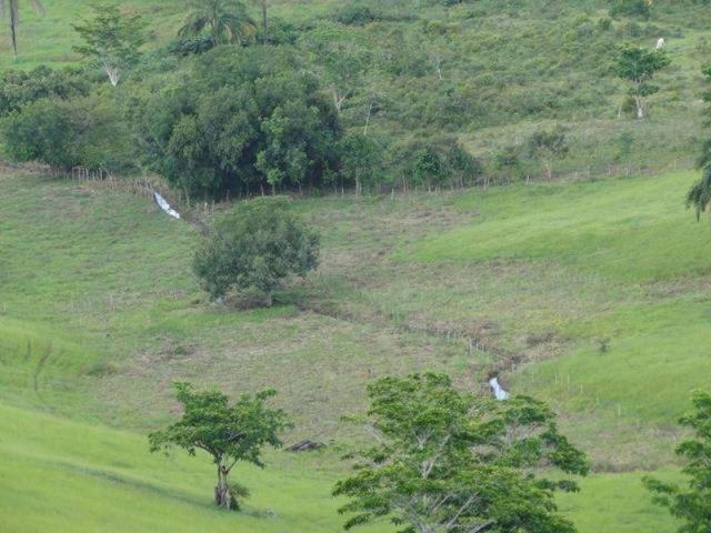 Maravilhosa oportunidade fazenda em maragogipe 120ta - Foto 7