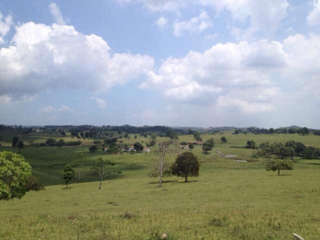 OPORTUNIDADE FAZENDA 116 TAREFAS - Foto 16