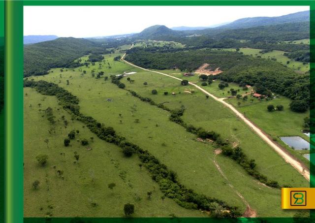 Fazenda em Cáceres - Foto 5
