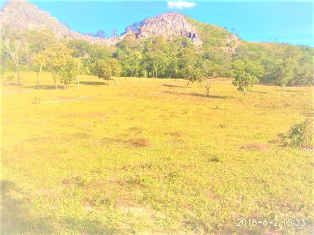 Fazenda com 25 alqueires com casa sede casa de caseiro Niquelândia goiás - Foto 3