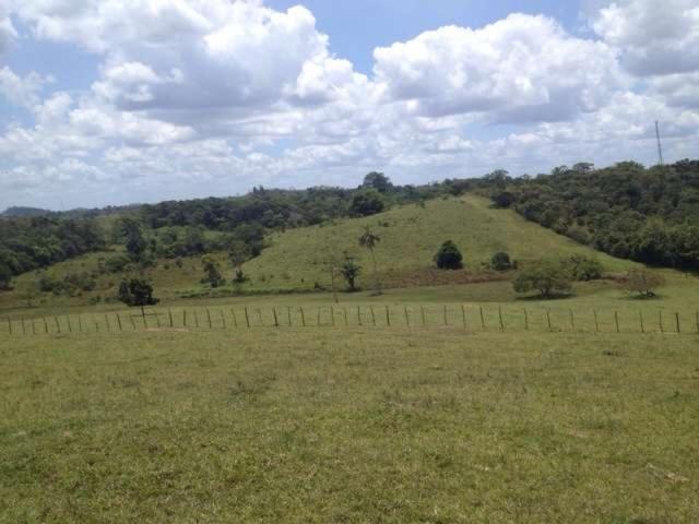 OPORTUNIDADE FAZENDA 116 TAREFAS - Foto 18