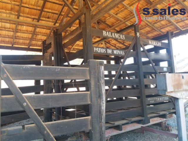Chácara à venda com 4 dormitórios em São romão, São romão cod:FA00003 - Foto 15