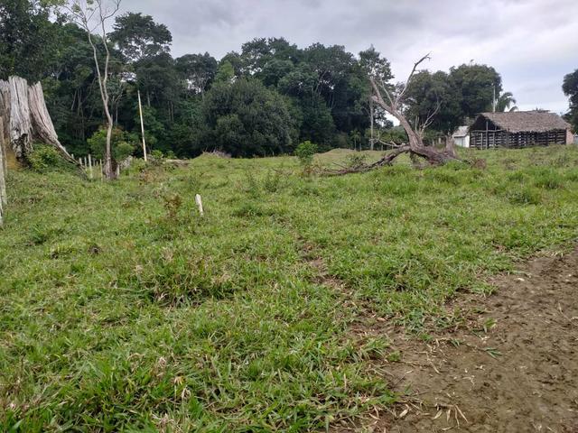 Vendo sitio em Apuarema ba - Foto 4