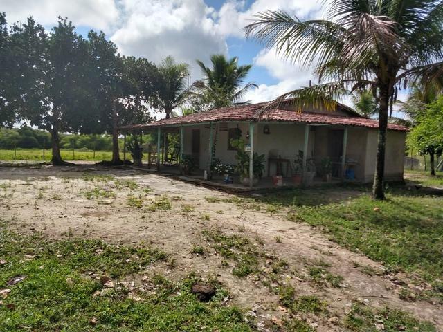 9 hectares nas Margens da BR 232 a 25 km de Recife PE - Foto 16