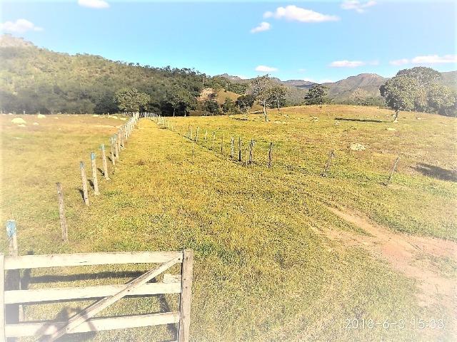 Fazenda com 25 alqueires com casa sede casa de caseiro Niquelândia goiás - Foto 6