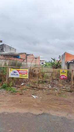 Terreno à venda em Rio pequeno, São josé dos pinhais cod:155977 - Foto 3