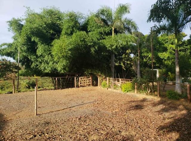 Sítio dos sonhos / Permuta Casa - Foto 9