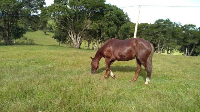 Vende - Foto 3