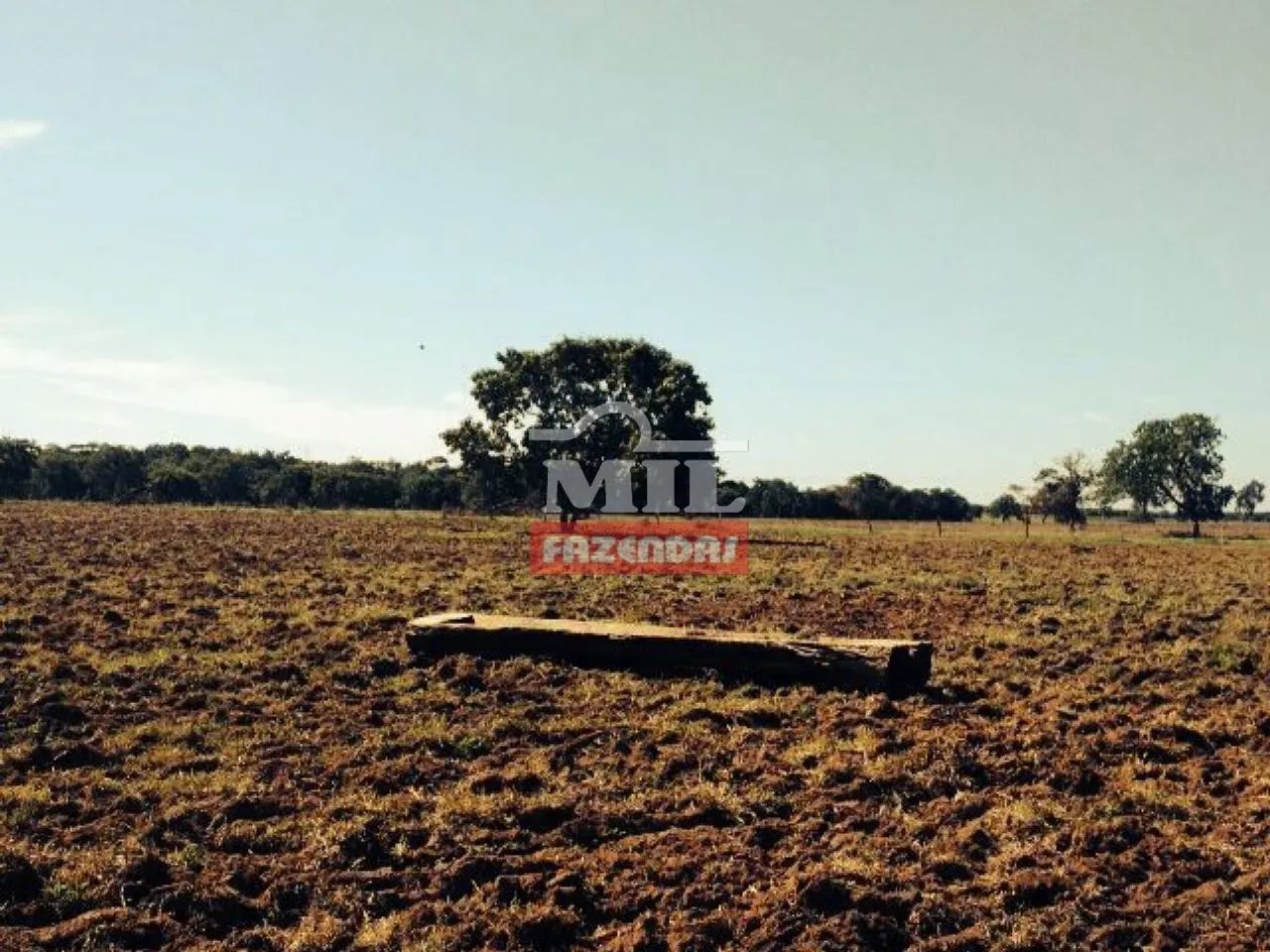 Fazenda Beira Tocantins 1.000 Alq. (4.840 Há). p/ Soja - Foto 5