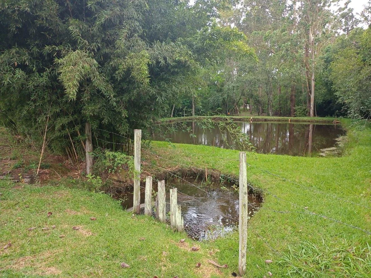 Chacrão  em Quadra / Vende ou Troca. - Foto 3