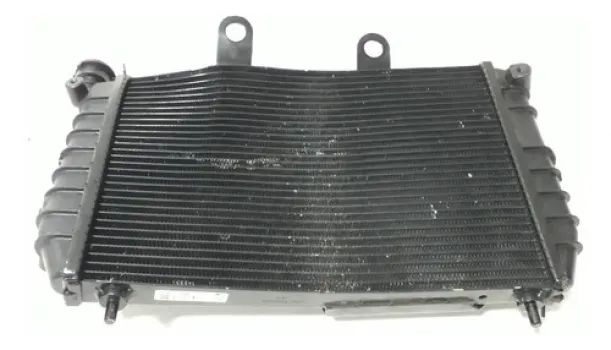 Radiador Harley Davidson Sportster S 22/23 P/recuperar 45092 - Foto 7