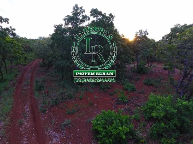 Fazenda 216 Alqueires Bruta Luzimangues