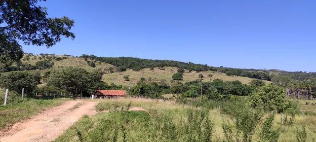 Fazenda em Pontalina  - Foto 5