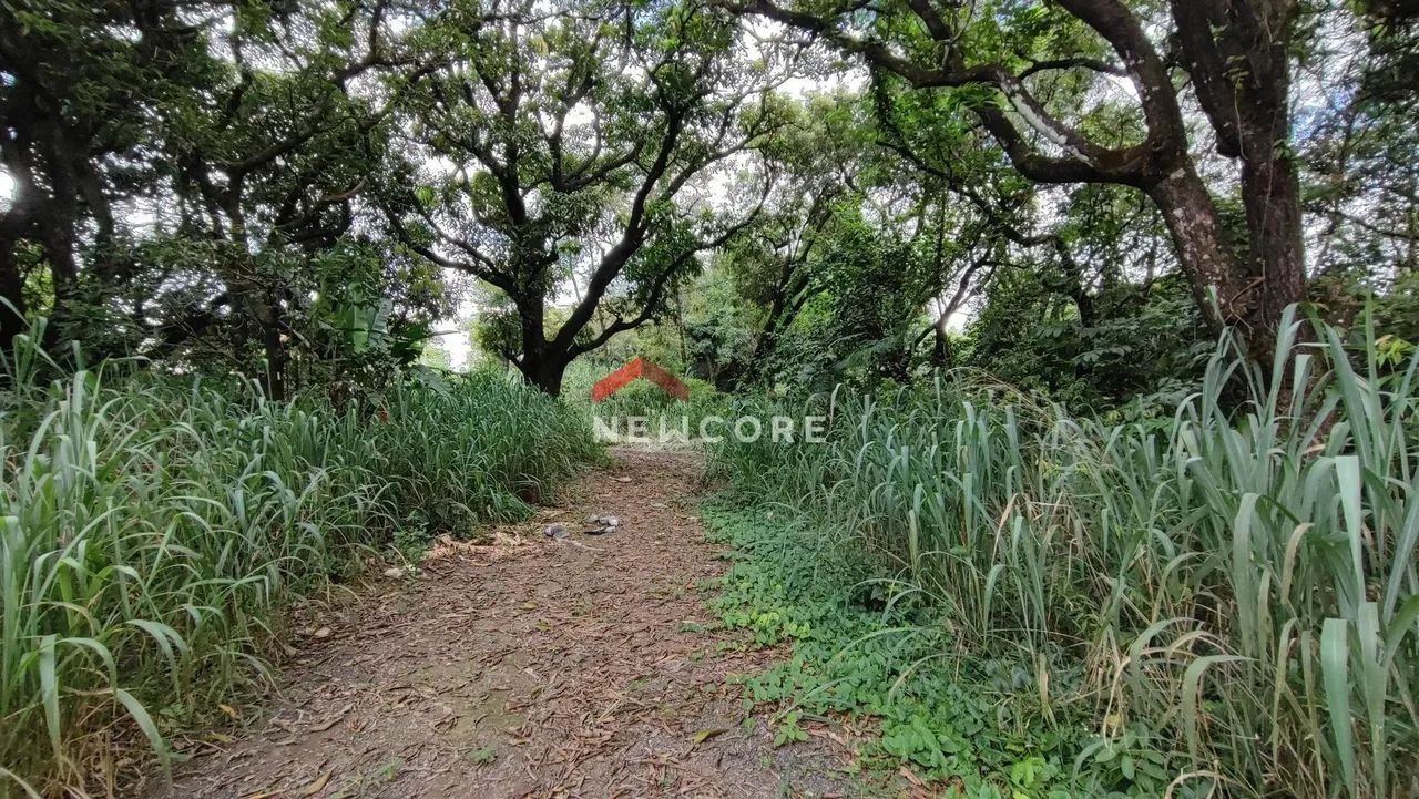 Lote em Rua José Simplício Moreira - Trevo - Belo Horizonte/MG - Foto 8