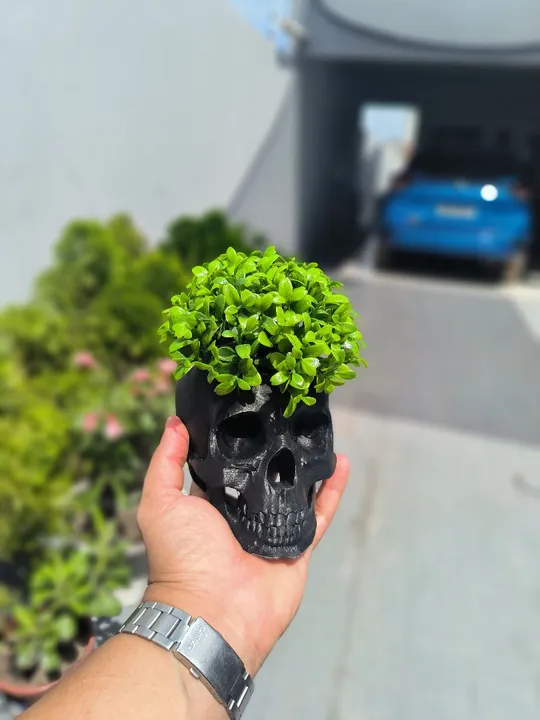 Vaso de Planta Decorativo Caveira (cactos, suculentas etc...)