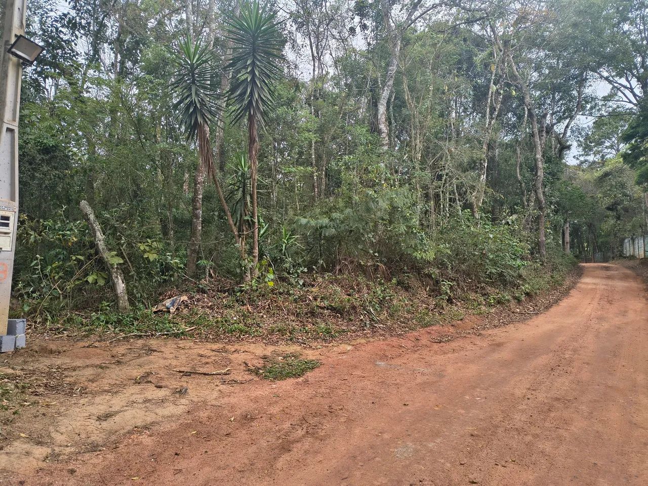 Foto - São Paulo - Perdizes