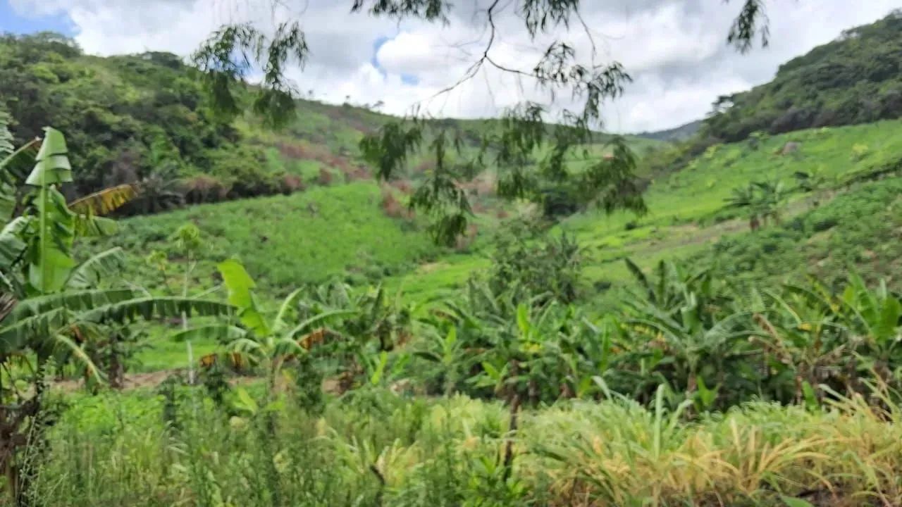 Excelente propriedade em Amaraji-PE - Foto 2