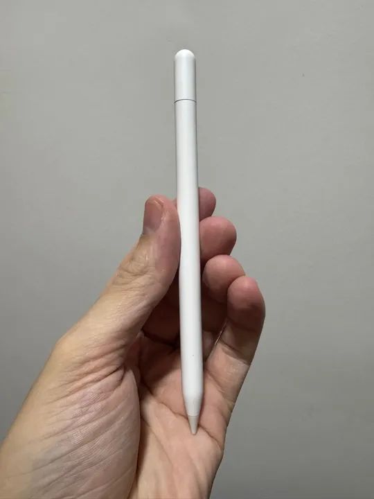 Apple Pencil 2 Geração - Usada64617796061699121
