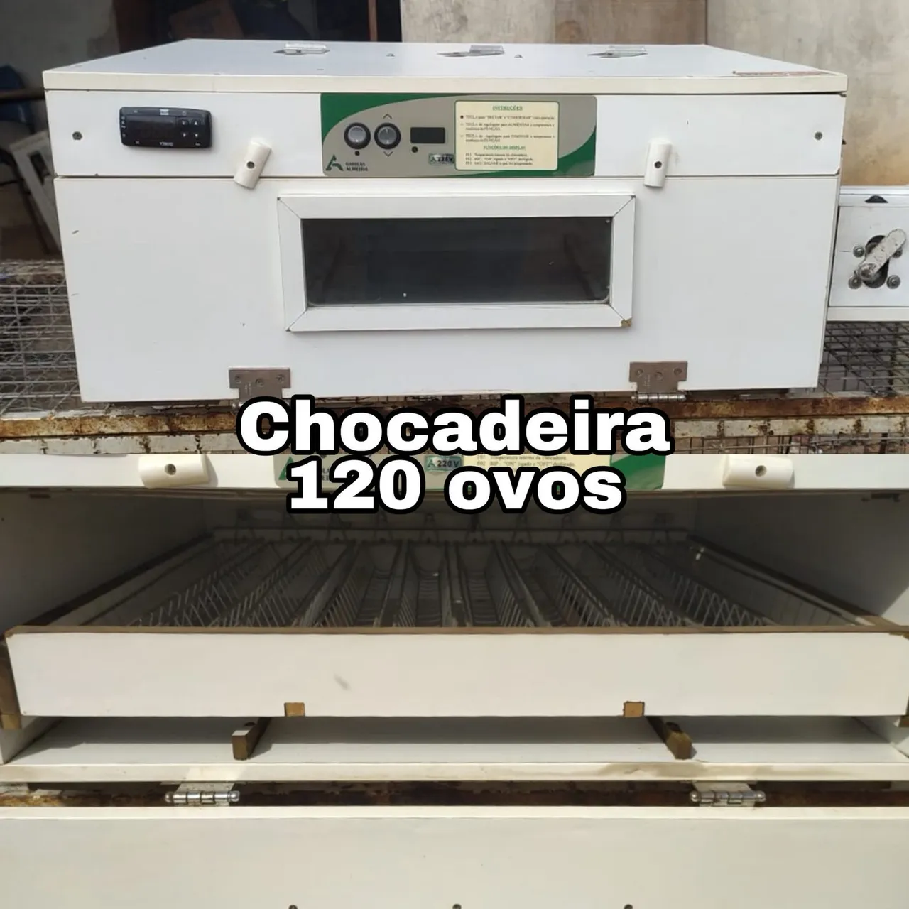 Chocadeira Automática para 120 Ovos