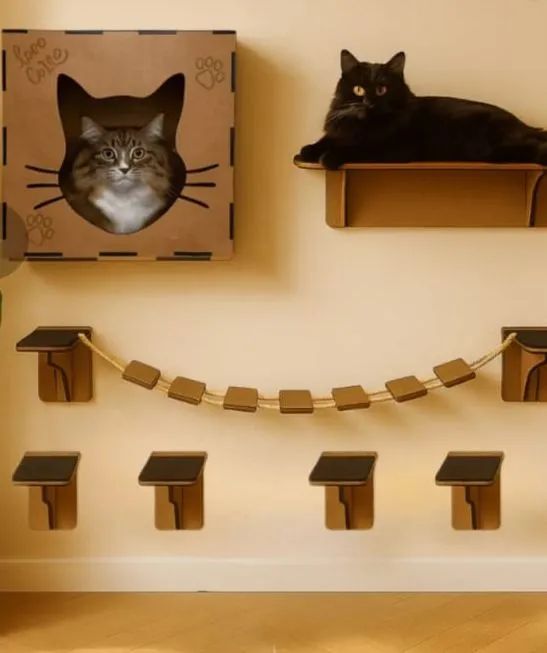 Nincho de  trilhas pra gatos  - Foto 2