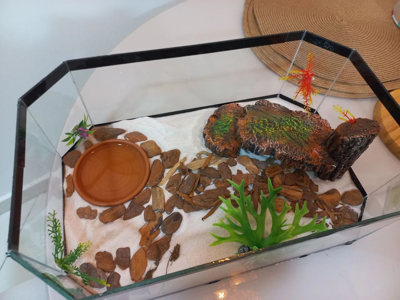 Terrário decorado para répteis - Foto 2