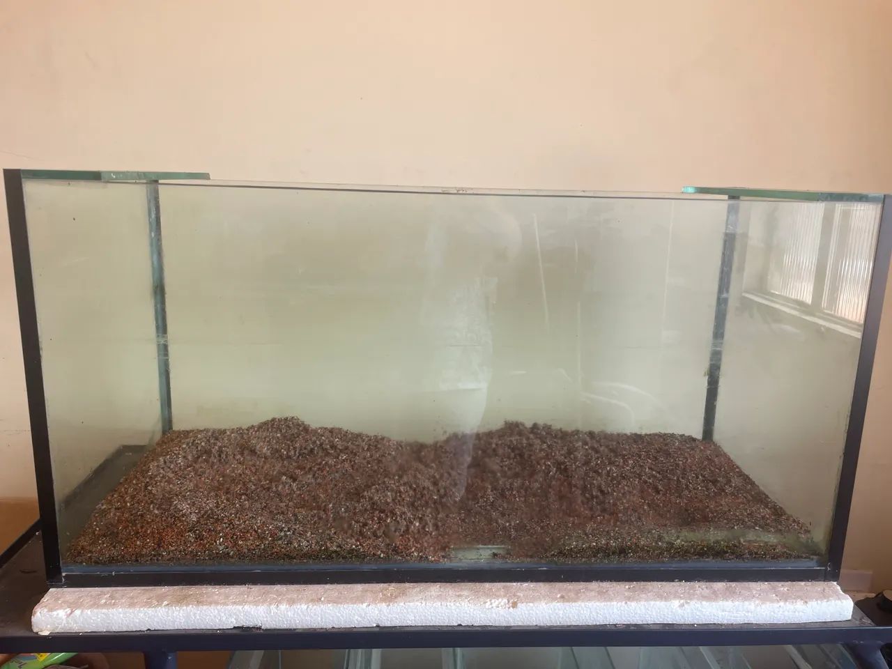 Aquário 64319321555331120