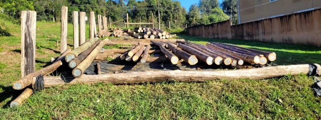 PALANQUES DE EUCALIPTO E ESCORAS. - Foto 5