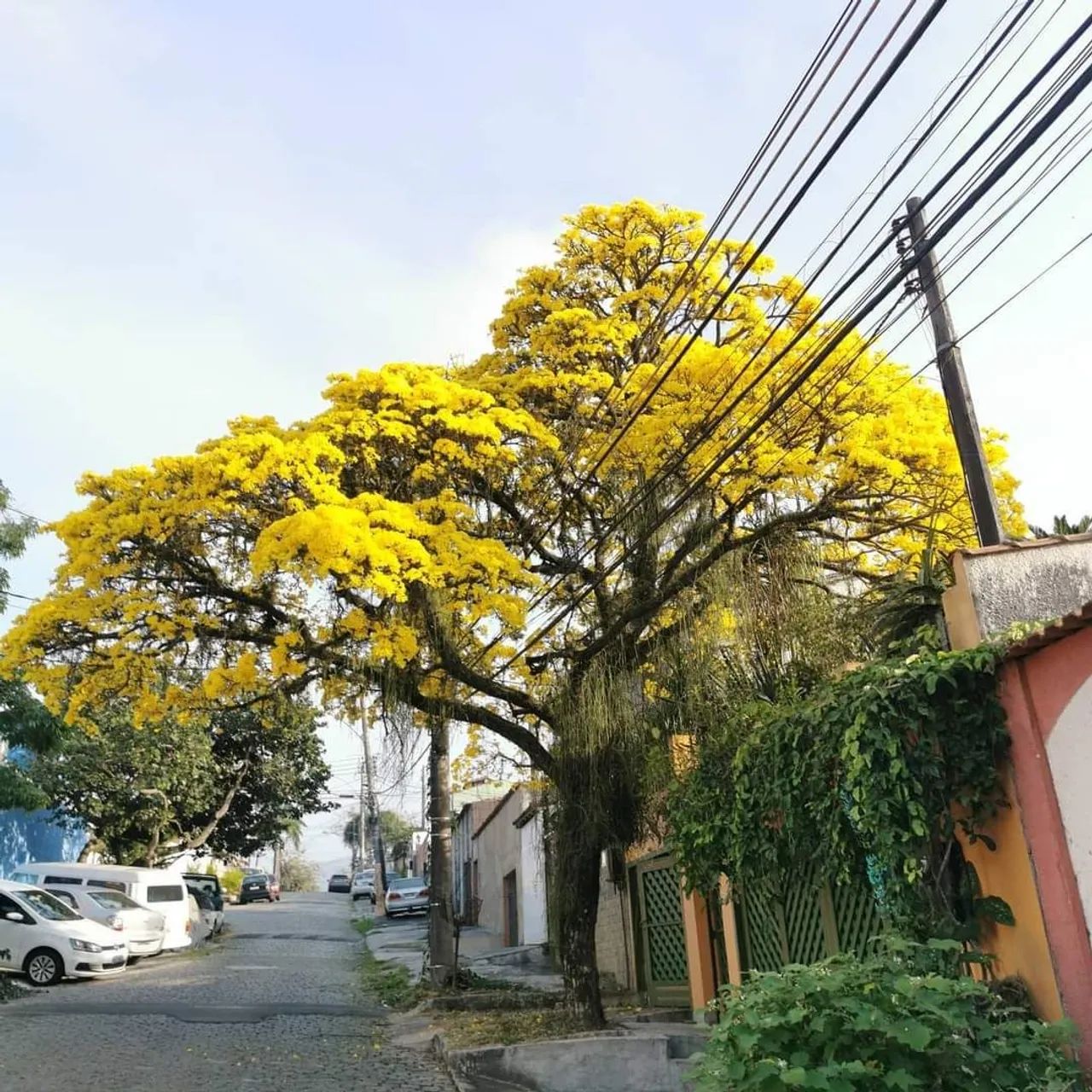 foto - Rio de Janeiro - Taquara