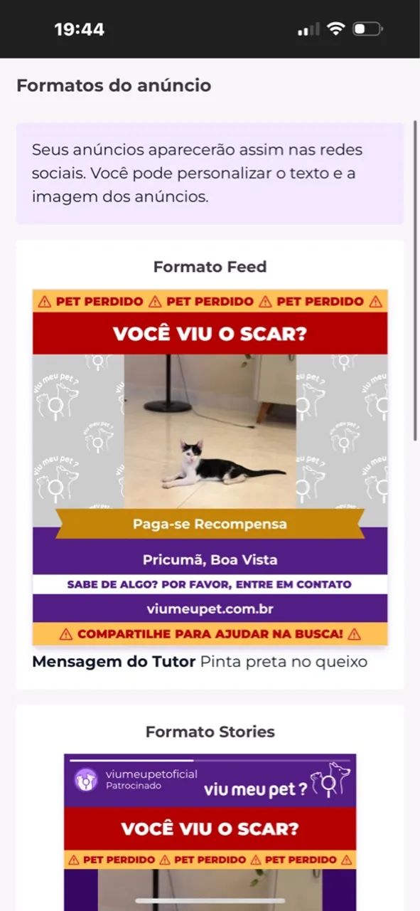 Gato bi color  procurado Pricuma 