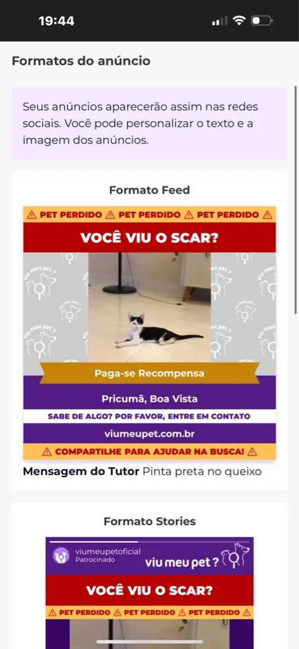 Gato bi color