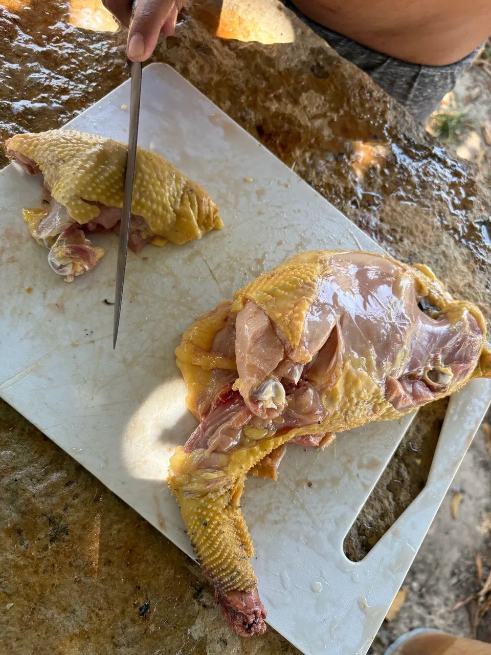 Galinha Caipira - Foto 5