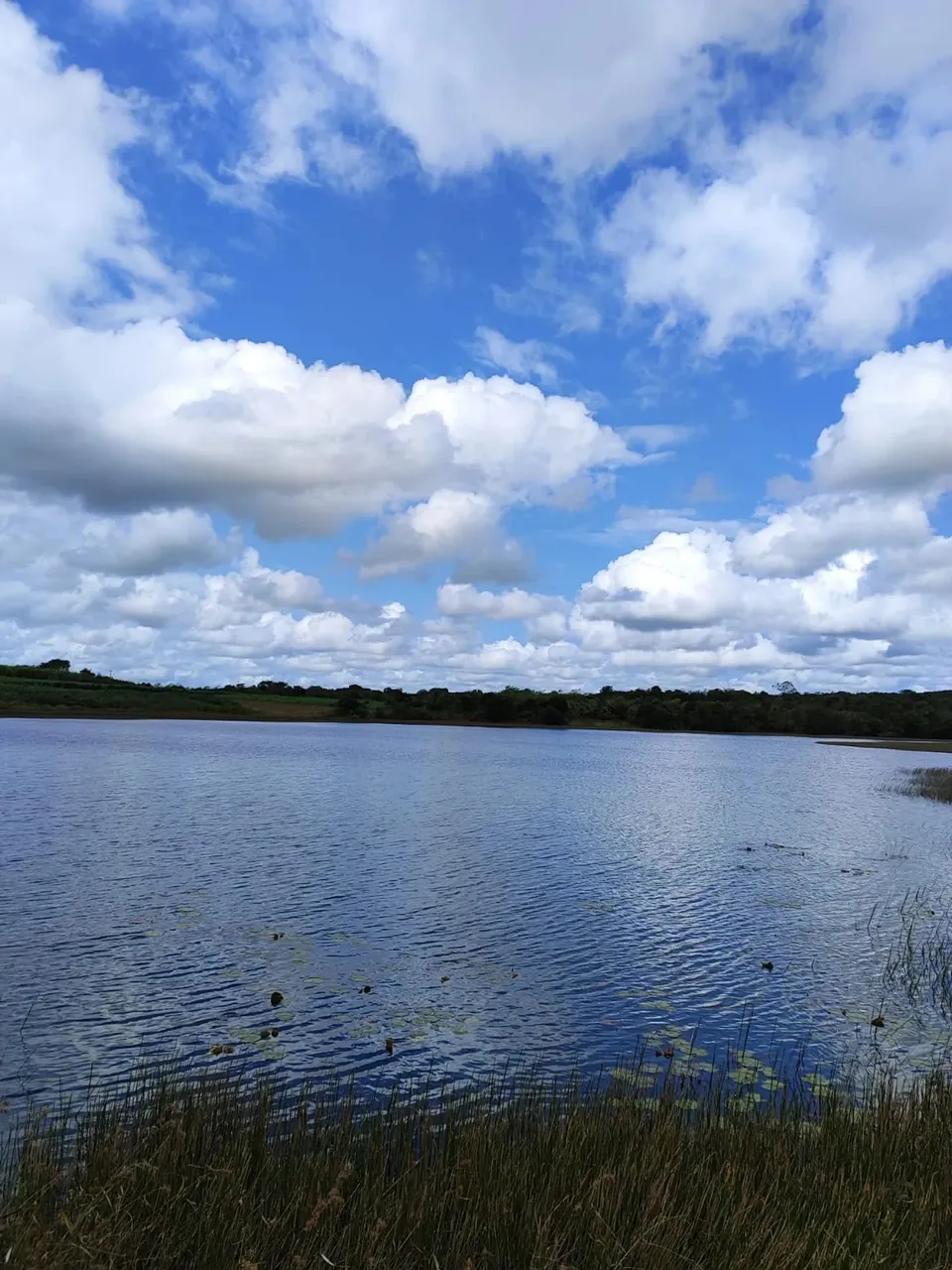 fazenda com 385 hectares próximo a Canguaretama com excelente localização rica em água