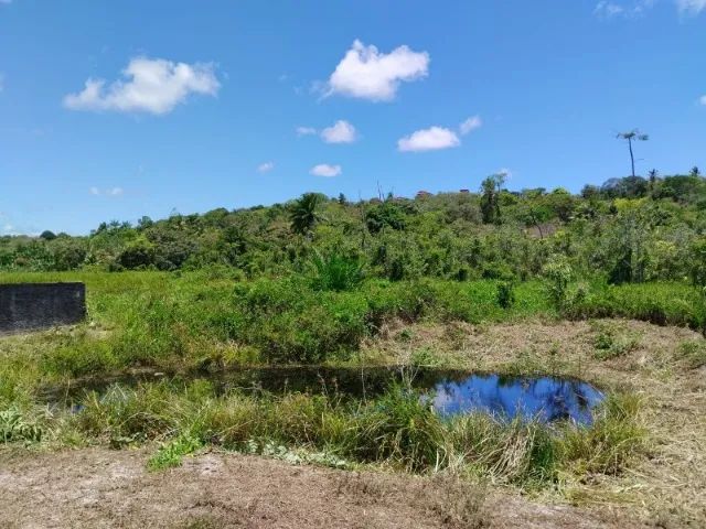 Vendo - Lote - Murado - Barra de Pojuca - Foto 9