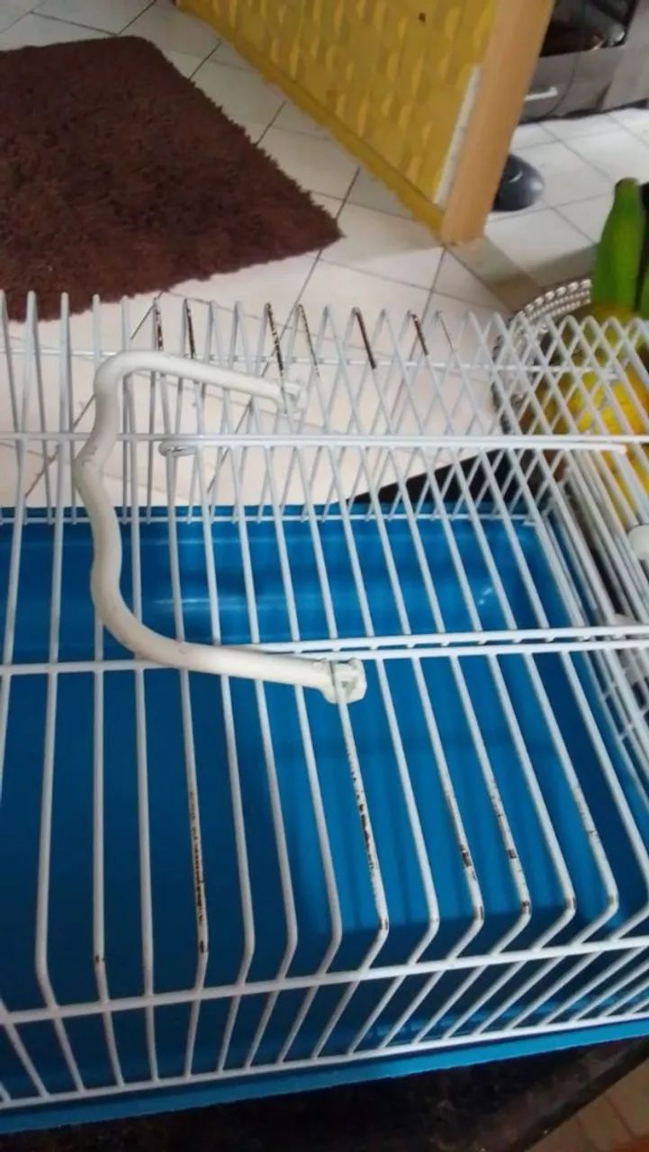 Gaiola para hamster 64167794066945125