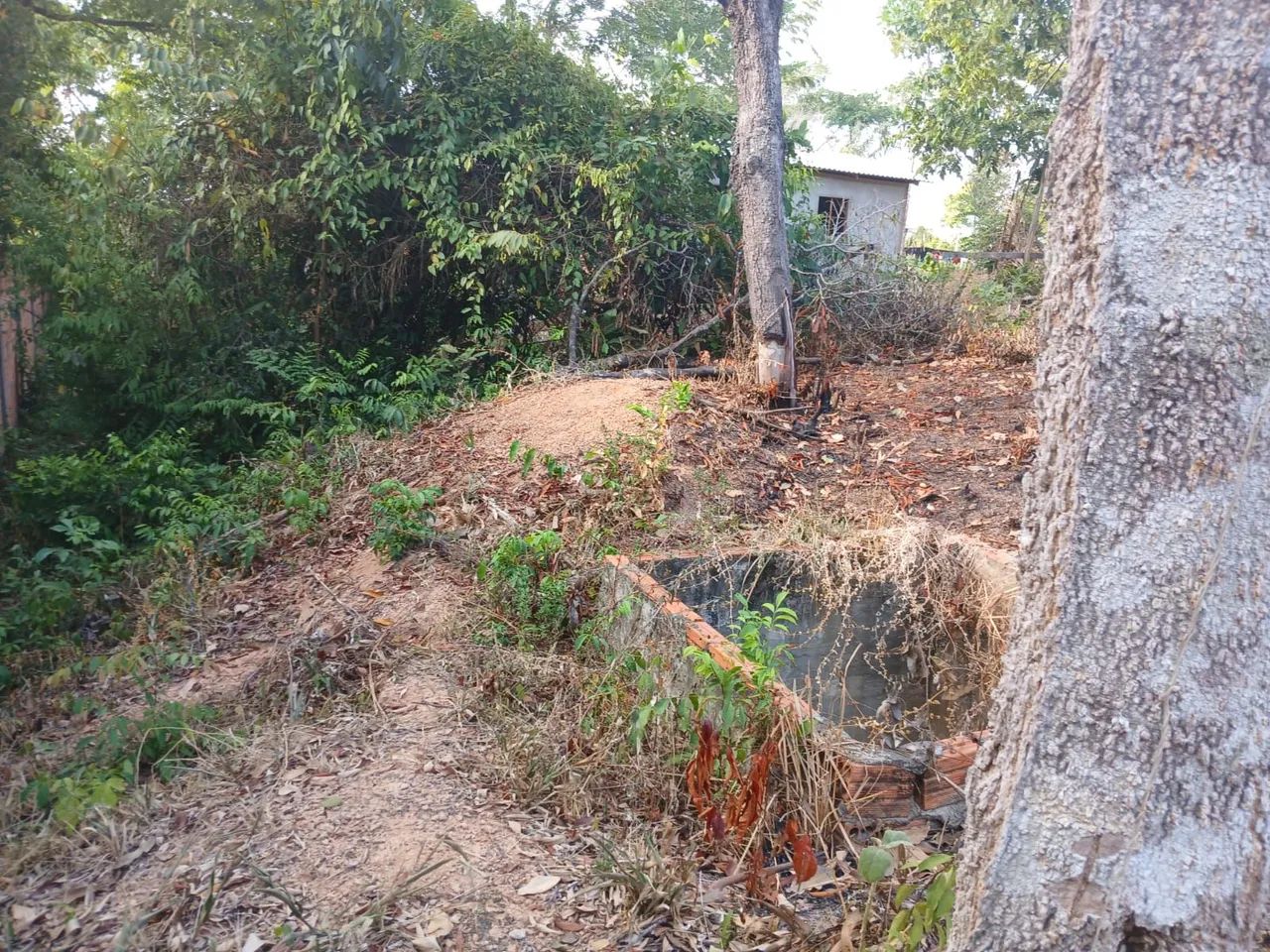 Terreno com área verde em ótima localização - Foto 5