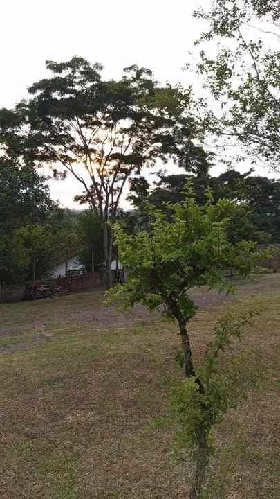 Linda chácara de 1 hectare em Parobé-RS - Foto 12