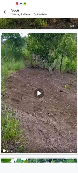 Vende-se terreno para chácara  - Foto 4