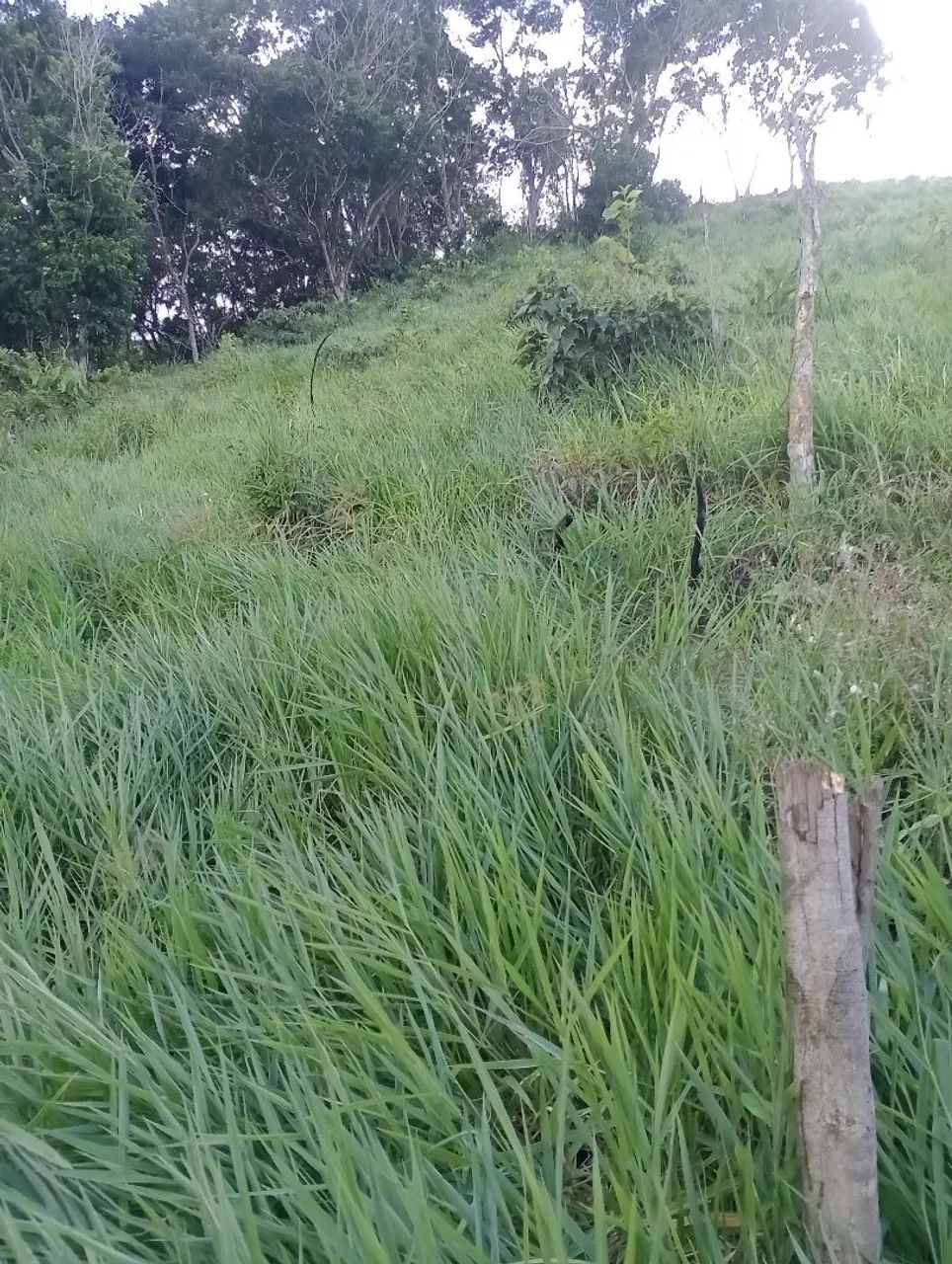 Sitio - Foto 4