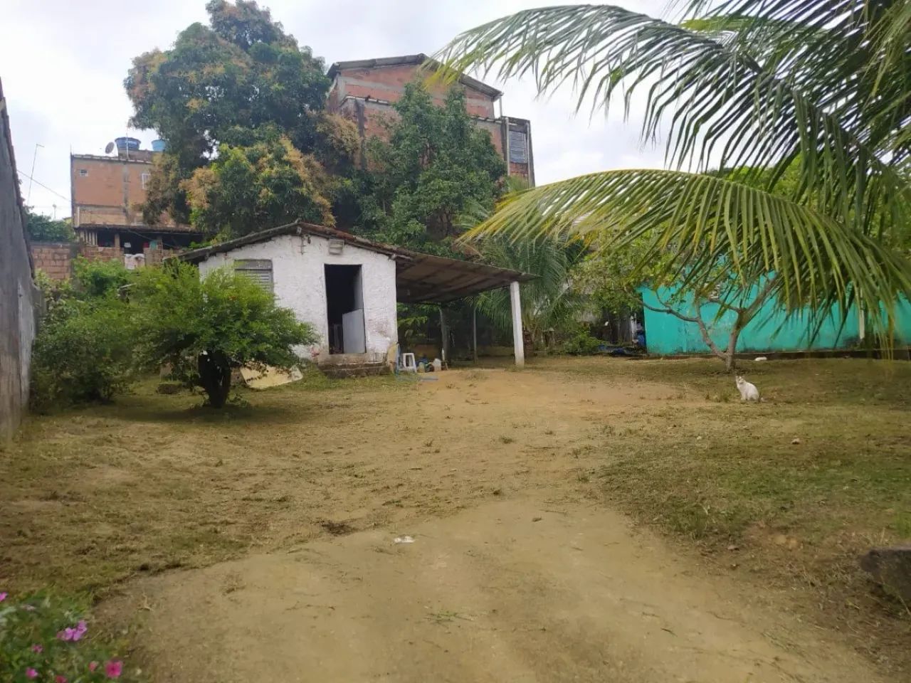 Casa Com 132m² De Área Construída, 600m² Área Total. Excelente Pará Comércio. - Foto 4