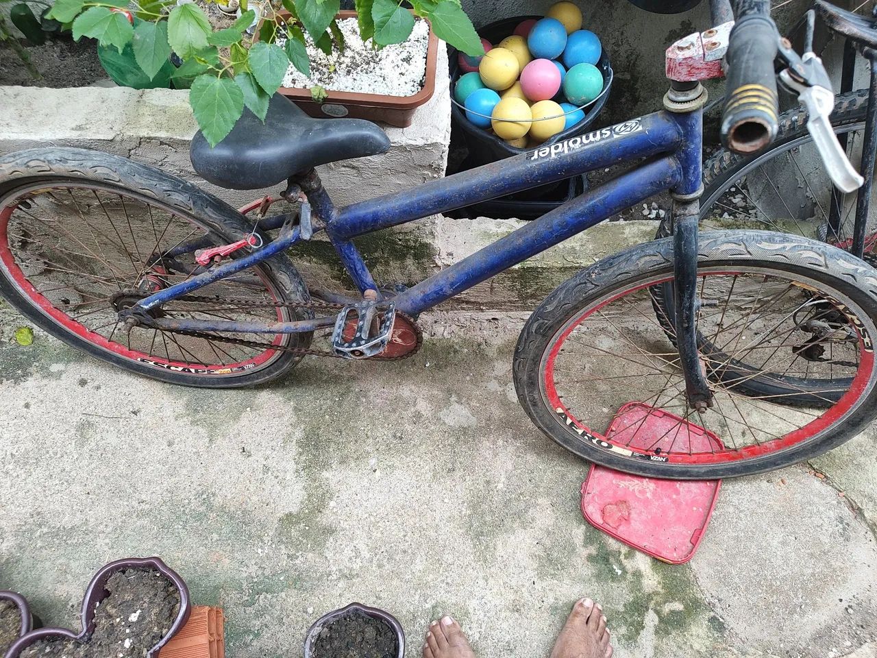 Bicicleta BMX