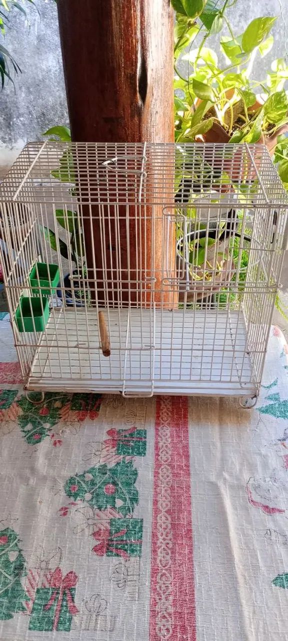 Vendo 1 gaiola pra passarinho! - Foto 3