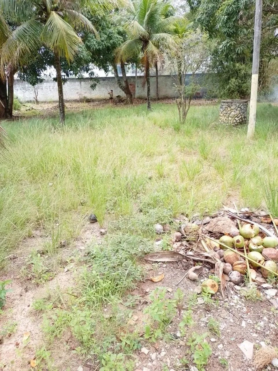 Foto - Rio Bonito - 