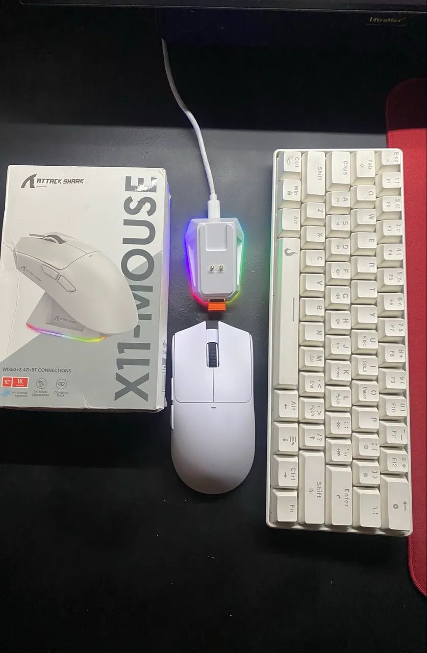 Mouse attack shack 
