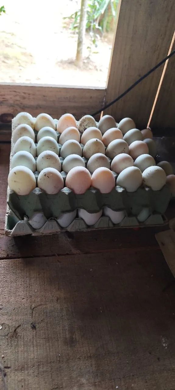Ovos galados de marreco pom pom