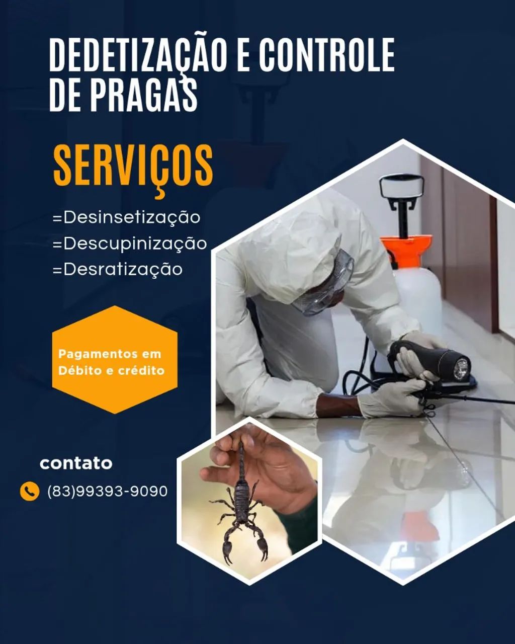 Dedetização 