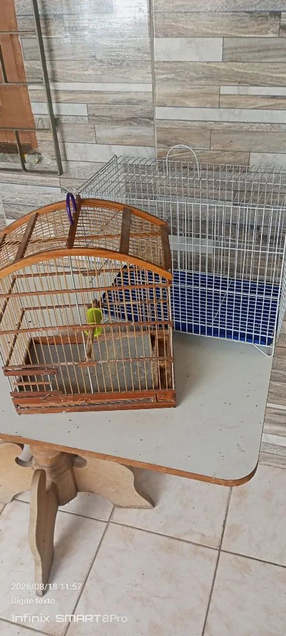 Gaiolas