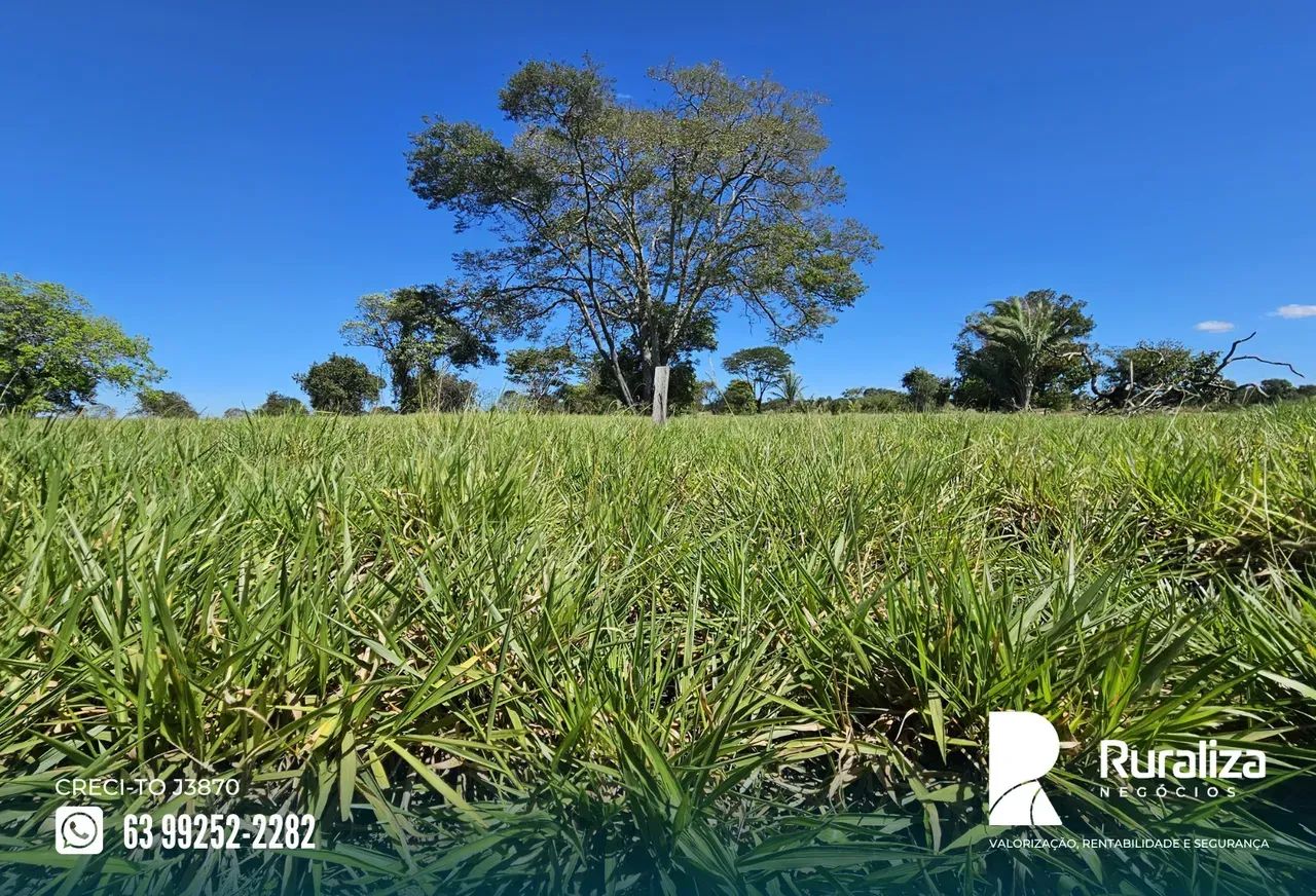 FAZENDA COMPLETA | ARGILA ACIMA DE 25% | PRONTA PARA PRODUZIR - Foto 3