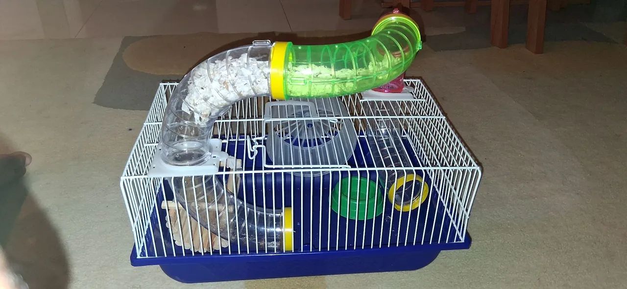 Casinha de hamster ? 