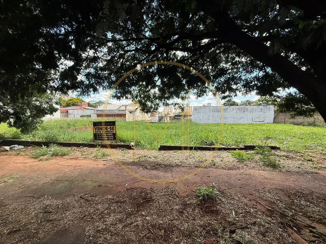 VENDA | Terreno, em Zona 08, Maringá - Foto 4