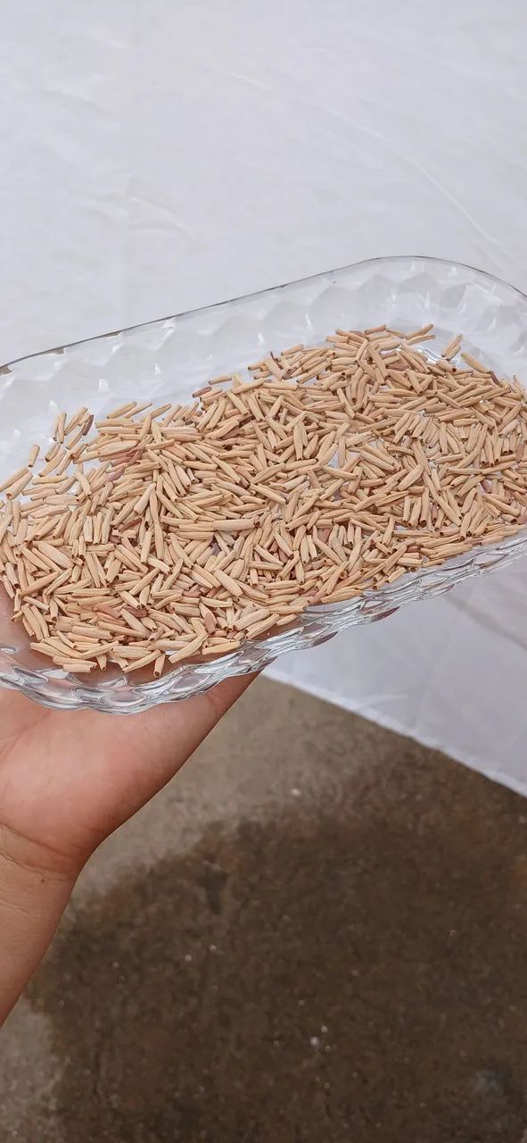 Sementes Rosas do Deserto  - Foto 2